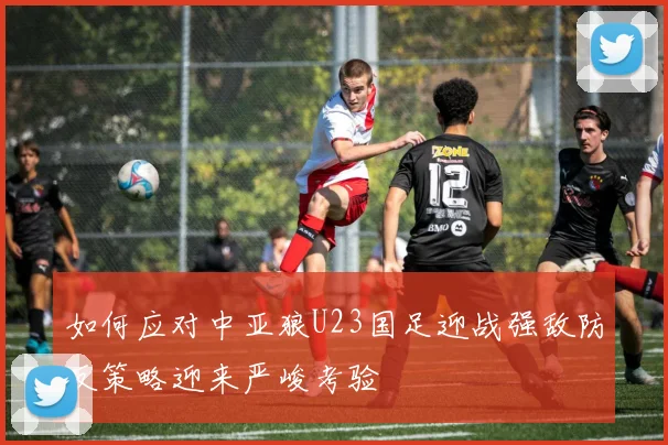 如何应对中亚狼U23国足迎战强敌防反策略迎来严峻考验